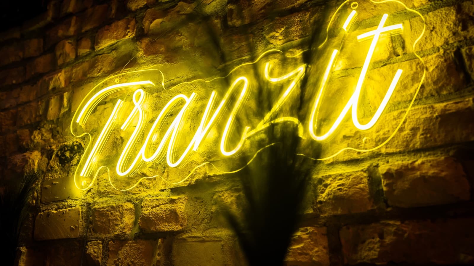 Üdvözlünk a Tranzit megújult weboldalán